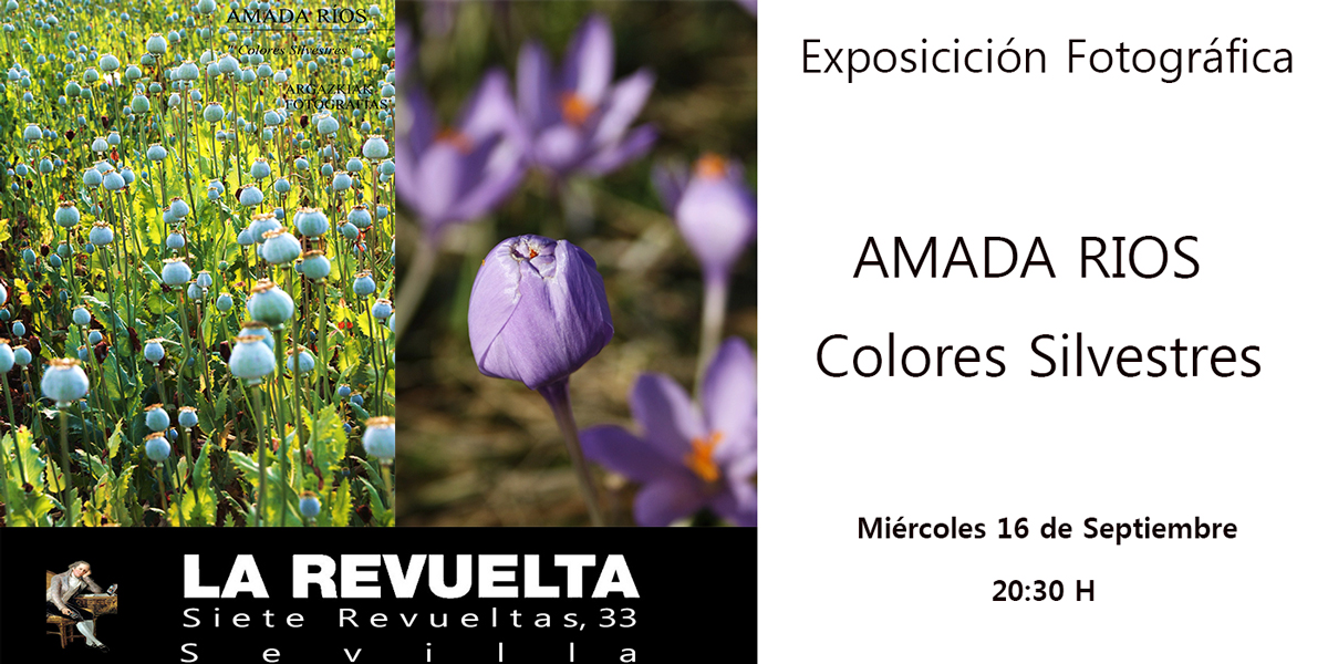 exposicion-amada-rios